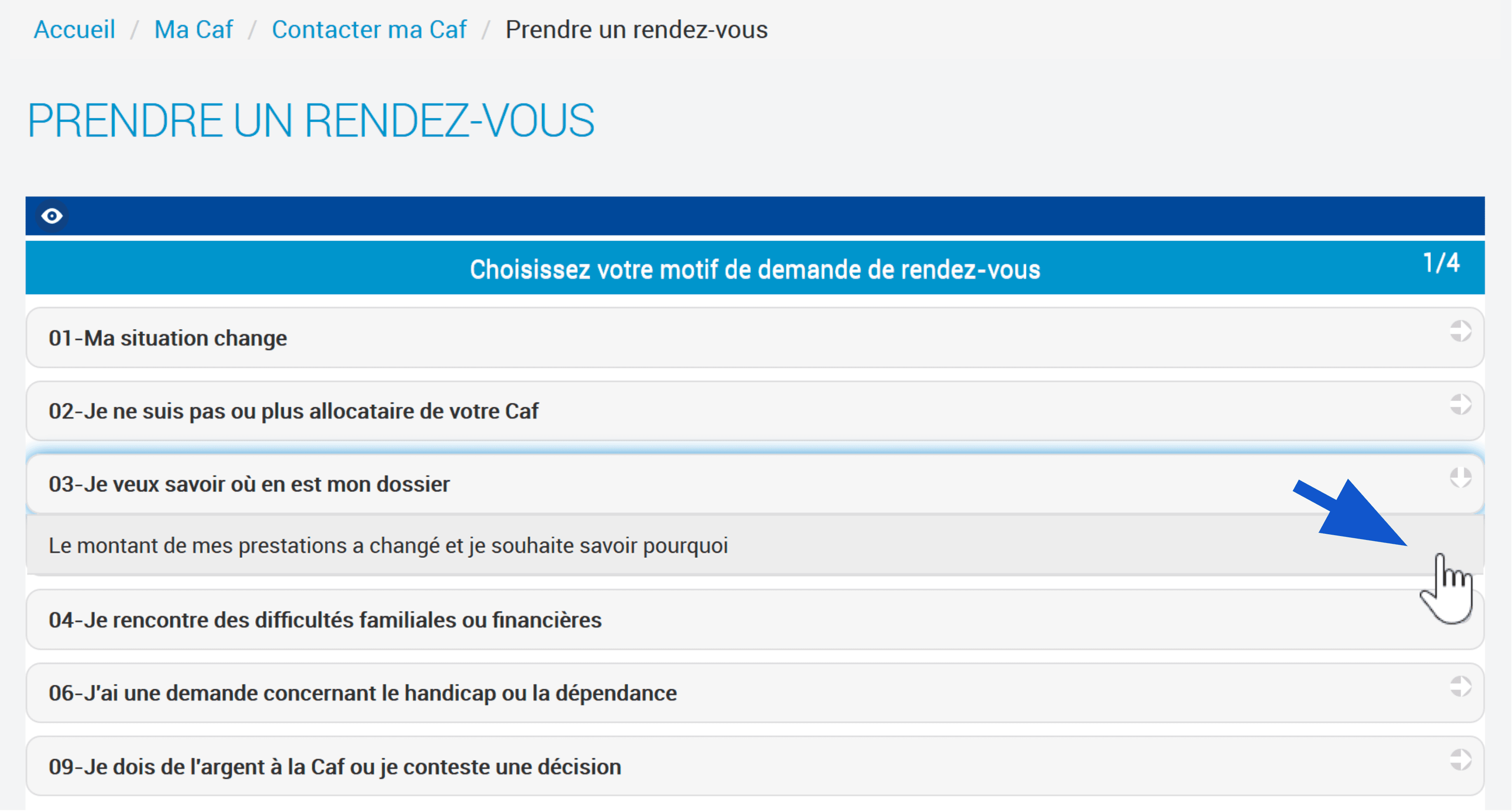 Choix de la raison précise